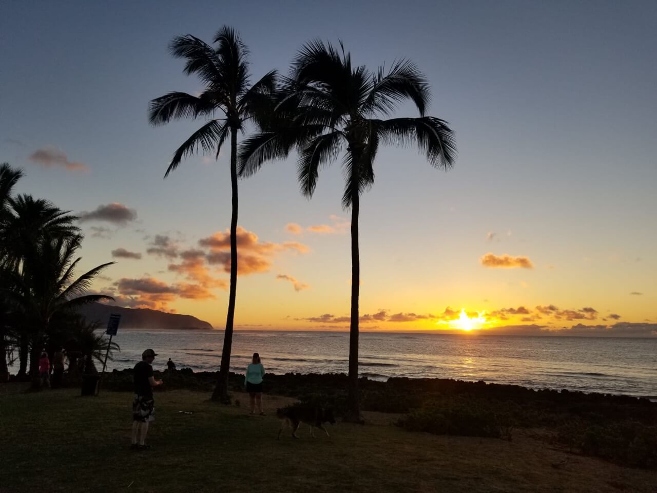 Haleiwa Sunset — Surf Hawaii Surf School Surf Camps, Surf Lessons